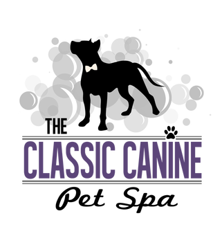 The Classic Canine Pet Spa - Home