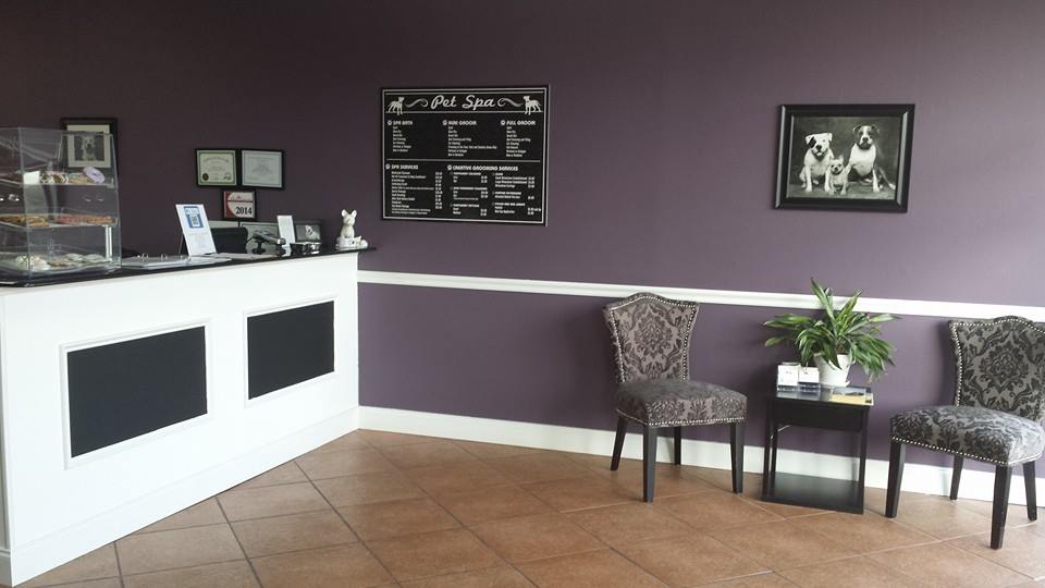 The classic canine discount pet spa